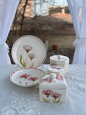 ست پذیرایی