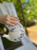 قوری سرامیکی طرح گل مرغ